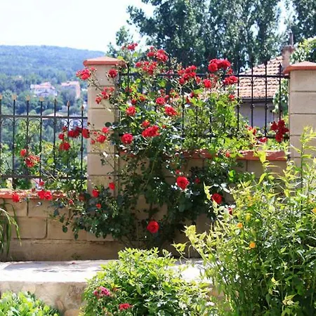 Coliseum Apartment Kranevo